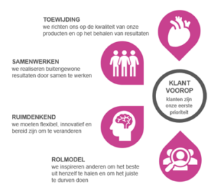 Organisatiecompetenties wellinq